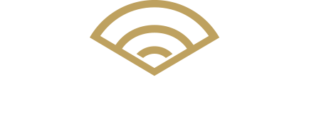 Domus WiFi Business
